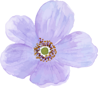 Watercolor Flower Illustration